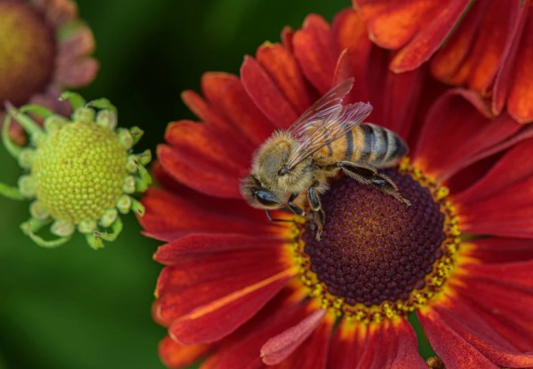 百家姓起名_王姓男孩名字大全推荐