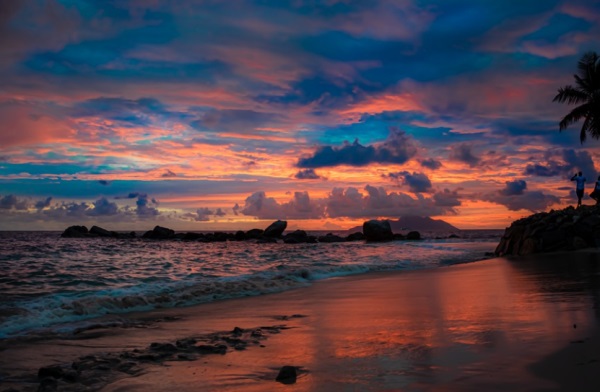 年属鸡女孩取名的10大方法