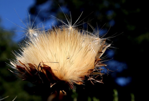 大胆又时尚 有创意的小名你造吗
