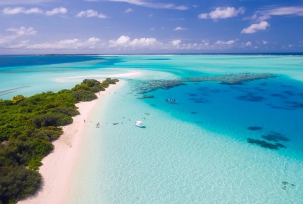 不错的好听的羊年好听的女孩名字