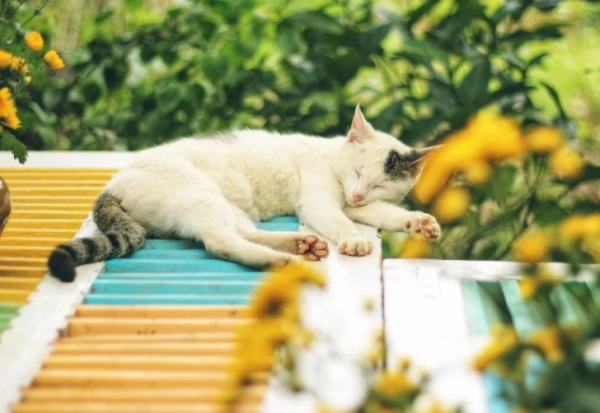 赖姓家字辈起名