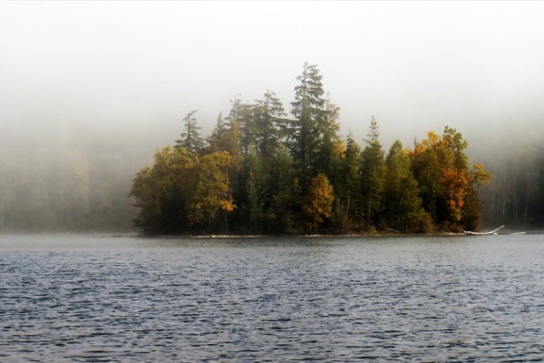 表示健康快乐的宝宝小名
