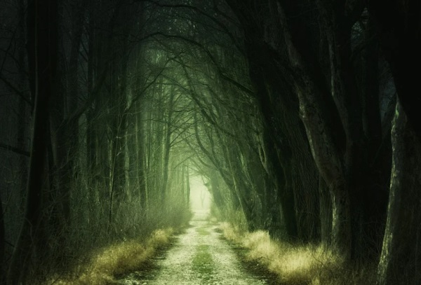 温柔文静诗意女孩名字怎么起受欢迎