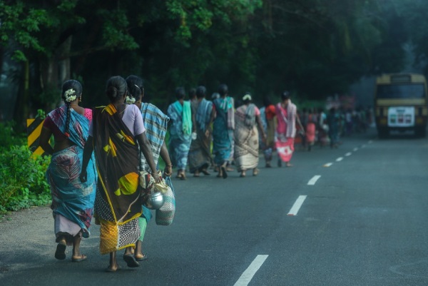 女孩取名：鸡年好听的女孩名字
