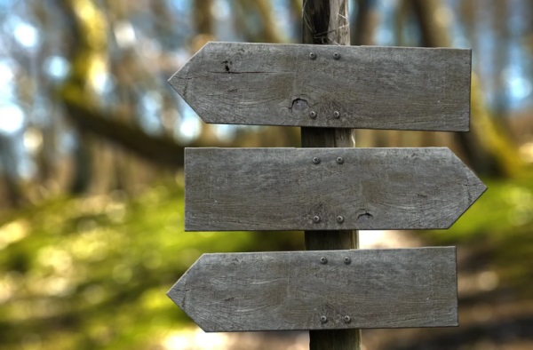 2025年生肖牛起名用什么字最好