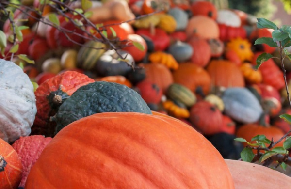 属水的女孩名字参考 怎么起名洋气新颖有涵养