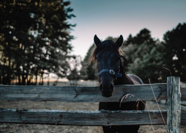 宝宝起名：潘姓寓意好的名字大全，收藏