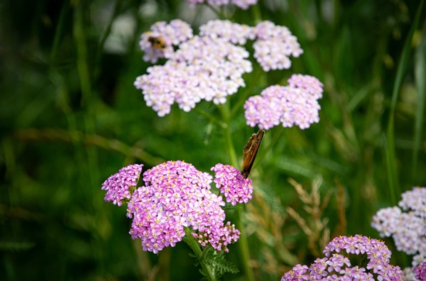 孩子老生病取个小名叫啥好 希望宝宝健康的小名
