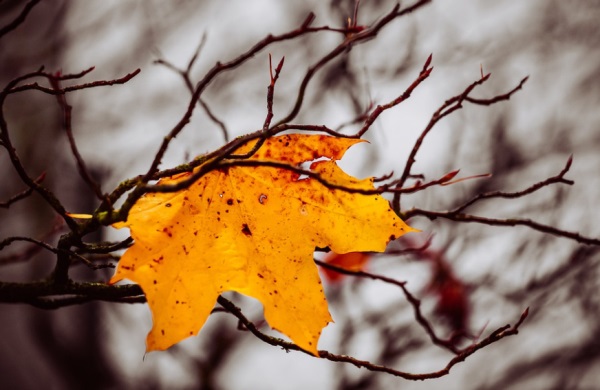 2025年宝宝小名男女通用