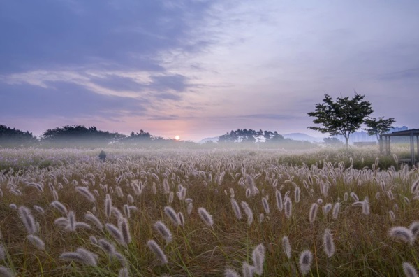 五行属金的字,五行属金最吉利简单好听的字