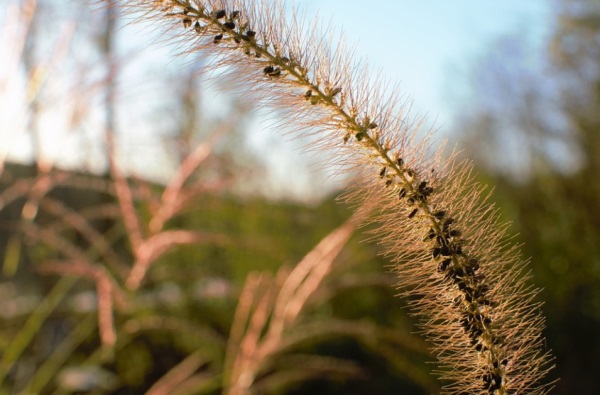 2025年12月最旺男孩名字