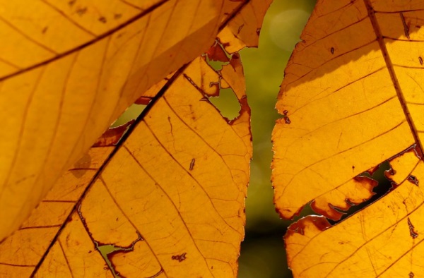 必成大器的男孩名字,男孩刚强有劲的名字