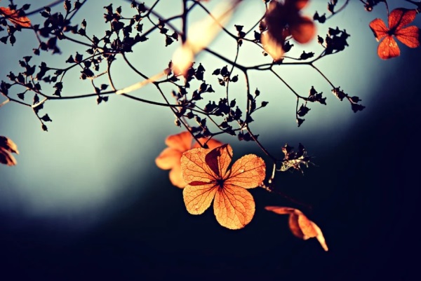 百家姓取名大全：以学问、志向为曾姓男孩取名