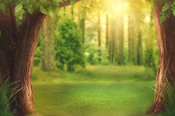 女孩名字大全：姓顾的女孩名字