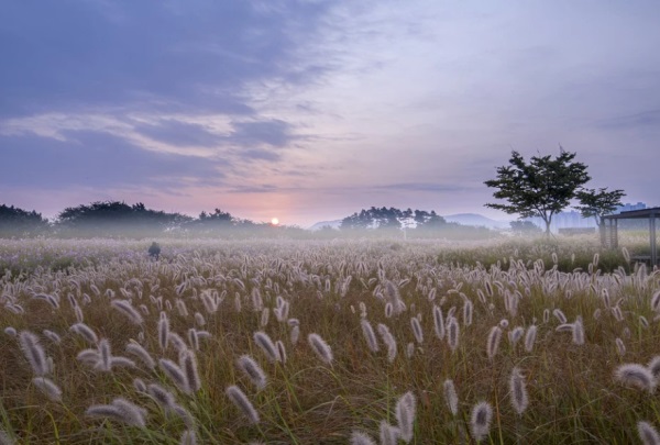 薛姓男孩名字大全_姓薛的男孩名字_薛姓男孩起名大气