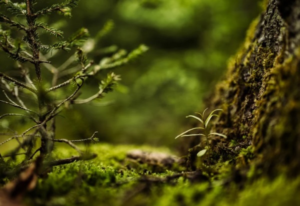 田姓家字辈起名