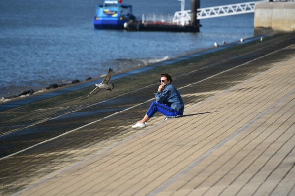 阳光的张姓宝宝名字大全