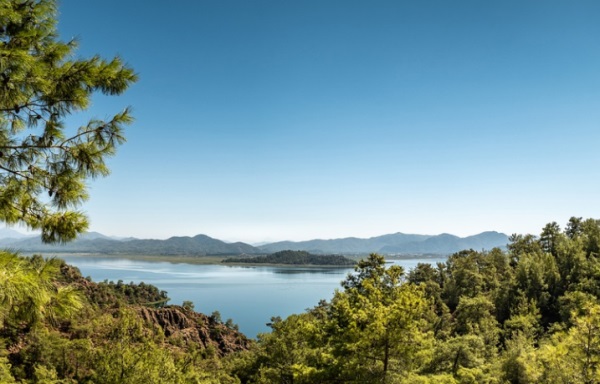 属火古风的女孩名字，寓意率真洒脱