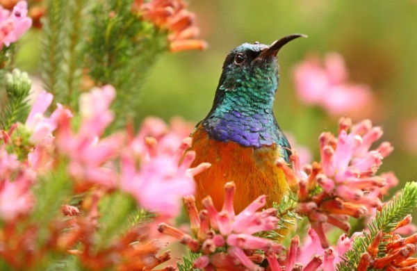 文雅大气的女孩名字，这样起名更文雅