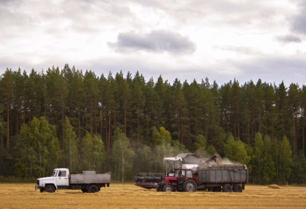 用晏字取名，晏字取名女孩名字大全