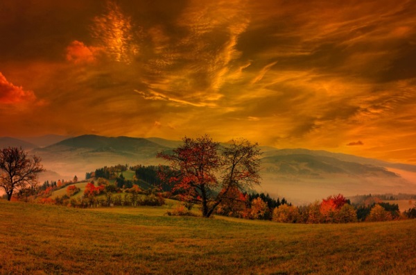 带朗字的男孩名字，朗字名字大全男孩名字