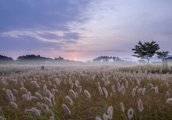 男孩起名字大全 如何取个好听的名字