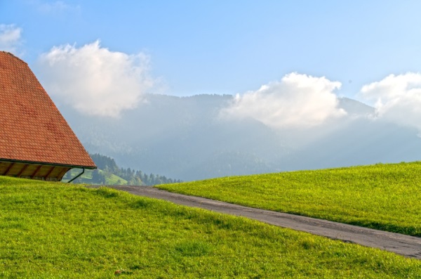 女孩起名气质涵养大气的名字