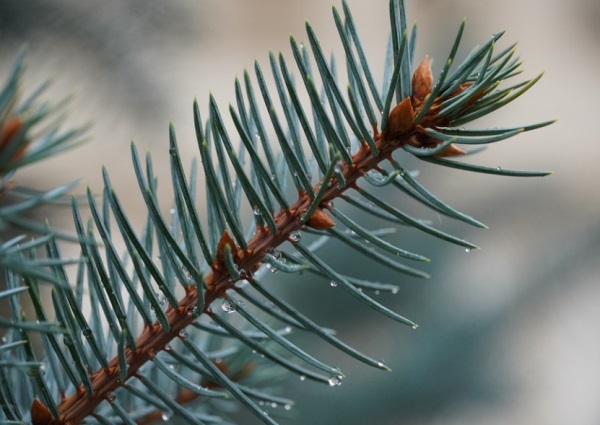 宝宝起名：比较有福气的字，含义吉祥带祝福
