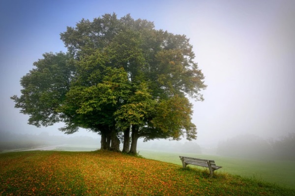 女孩起名字方法，洋气一点的女孩名字姓刘怎么起有好寓意