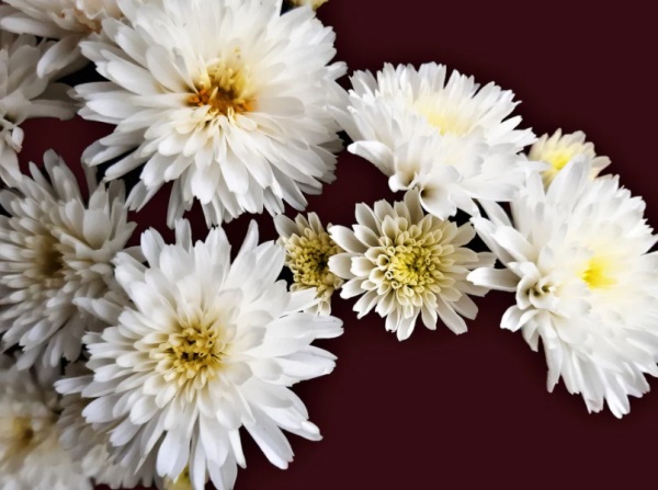 2025最新男孩英文名