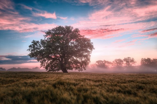 个性网六姐妹网名
