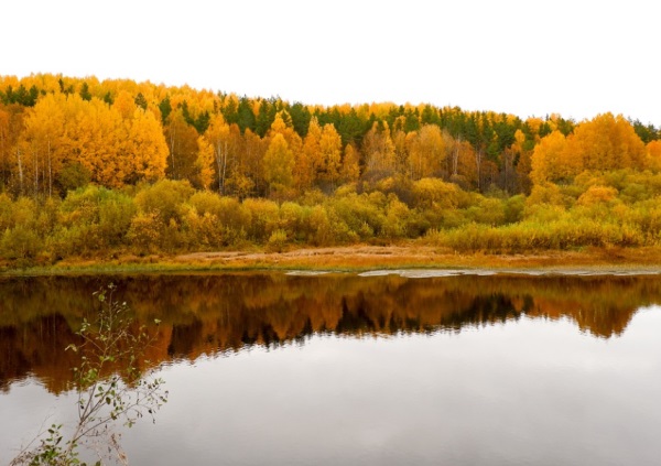 情侣网名博主可爱