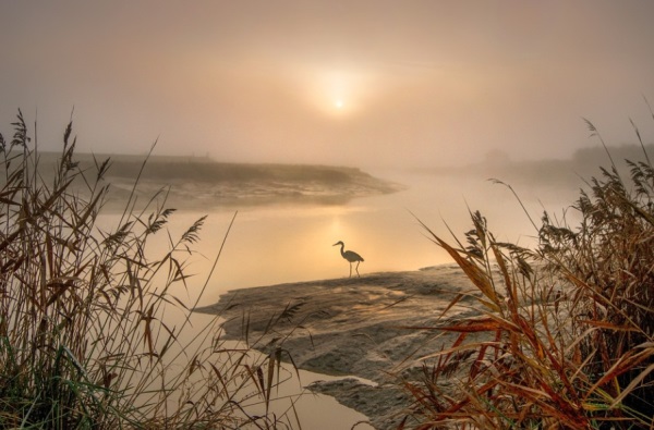 个性女生闺蜜网名大全
