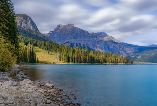 闺蜜五人网名简单