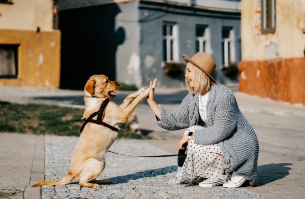 情侣头像个性网名