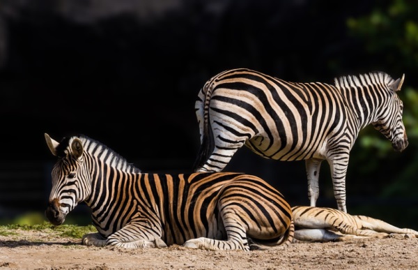 qq情侣网名个性签名