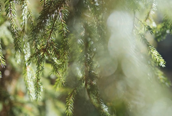 简单成熟情侣网名