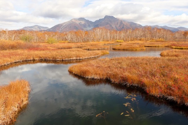 12星座头像可爱情侣网名