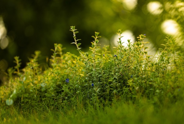 定制个性网名情侣