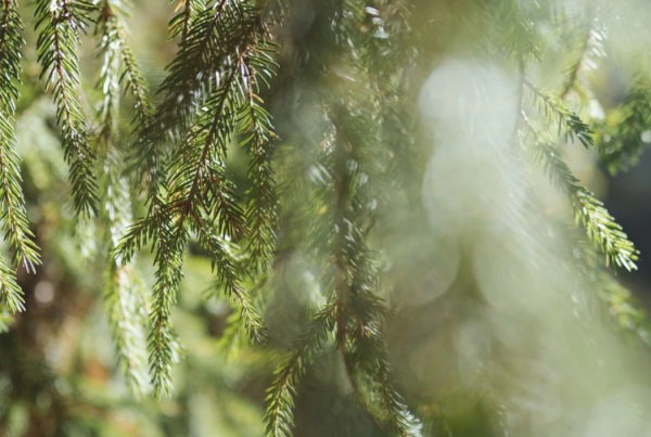4人古风闺蜜网名