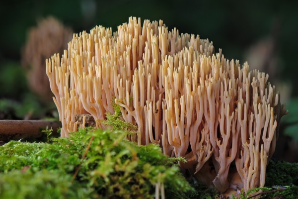 qq网名情侣个性