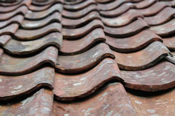 qq兄弟网名7个人