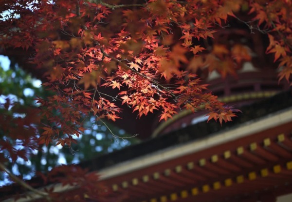 qq网名姐妹名字超拽