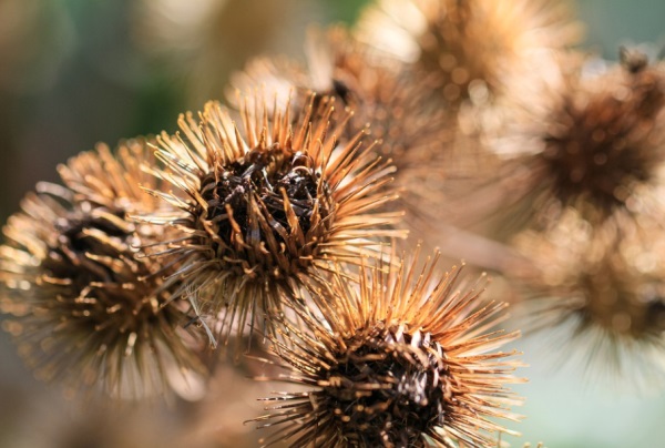 个性字体情侣网名