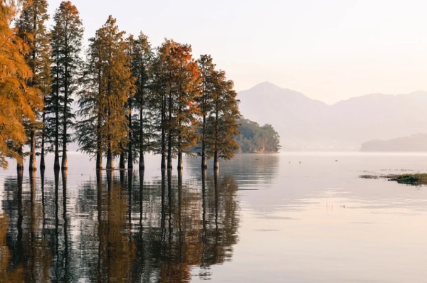 QQ网名兄弟多人