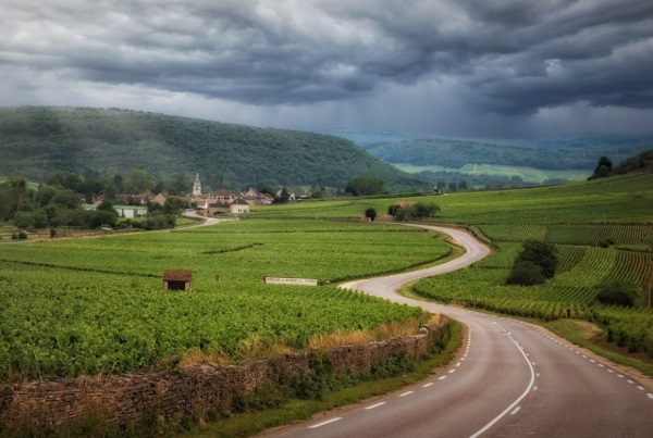 qq网名兄弟七个