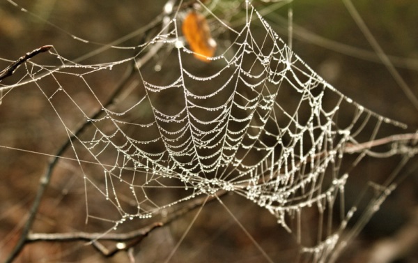 好听的闺蜜网名可爱