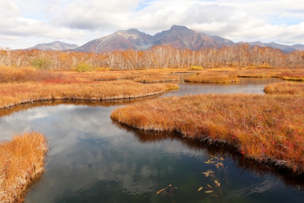 情侣网名逗比可爱