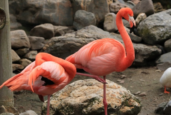 个性网名大全兄弟