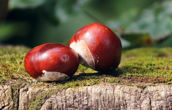 兄弟qq网名五个人